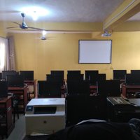 Edo Poly (@polyedo) 's Twitter Profile