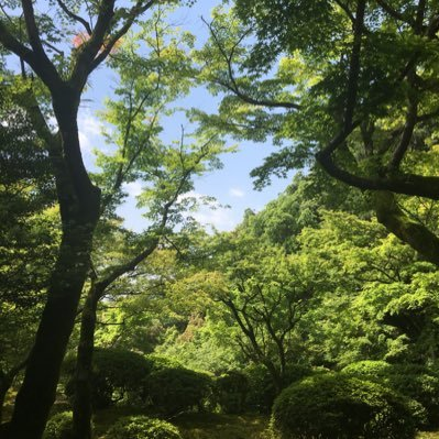ていさんのプロフィール画像