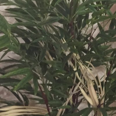 idontgetit465's profile picture. 