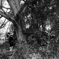 75 (@neco_mono) 's Twitter Profile