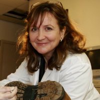 Lorna Dawson, CBE, FRSE, FRSA(@Soilfit) 's Twitter Profile Photo