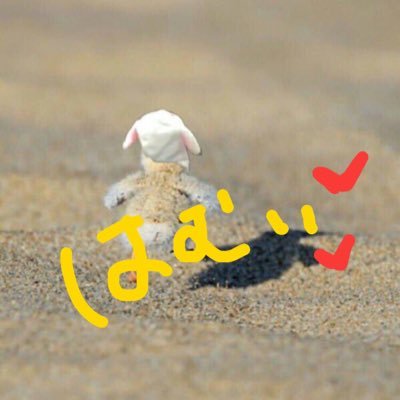 hamu1106jm1013's profile picture. 03lie