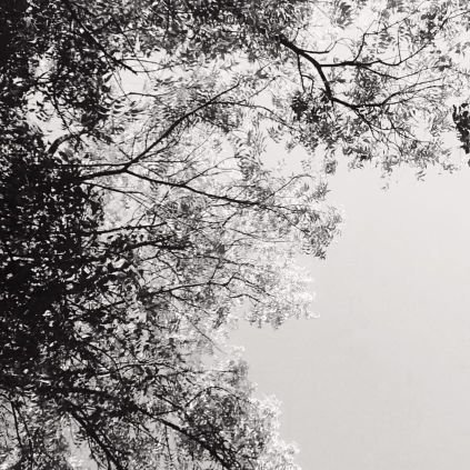 rehanlive3's profile picture. Loves movies, travelling and driving. Loves to laze around on sundays and holidays.