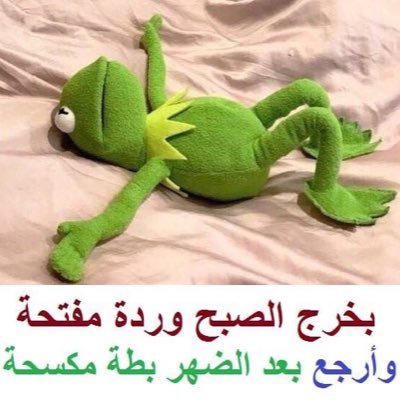 اعمل بشركة تقسيط سيارات بنظام التأجير المنتهى بالتمليك والتقسيط
