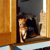 Skye Shepherd Huts (@skyehuts) 's Twitter Profile Photo Skye Shepherd Huts (@skyehuts) 's Twitter Profile Photo
