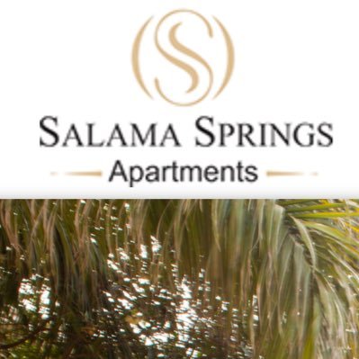 SalamaSprings Profile Picture