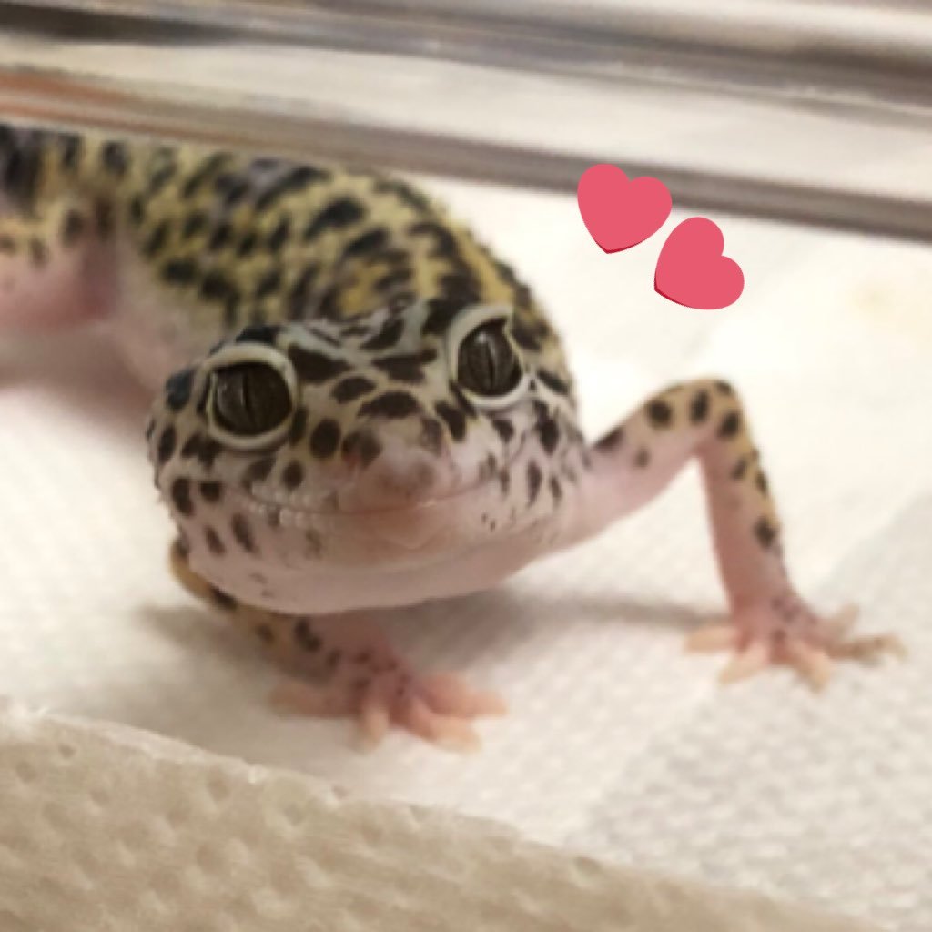 よひささんのプロフィール画像
