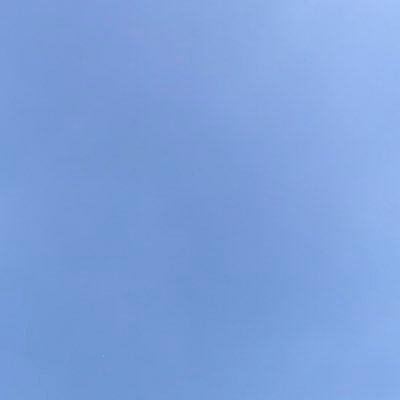 searchboxph's profile picture. data and design