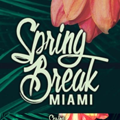 🏝The Official Spring Break Miami 2019 page 🏝The 🔌 for Events • Parties • Excursions