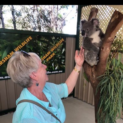 FloraHaus2's profile picture. Registered nurse 50 yrs; ER / Trauma specialty, Geriatrics.  Disaster team member Red Cross; executive council CA-AARP. Dog lover, solo traveler