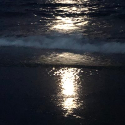 jlbleon's profile picture. 🇧🇷🥝