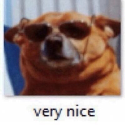Dunkin2K16's profile picture. I live for memes