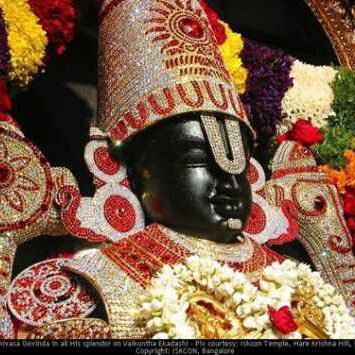 perumalreddy11's profile picture. 