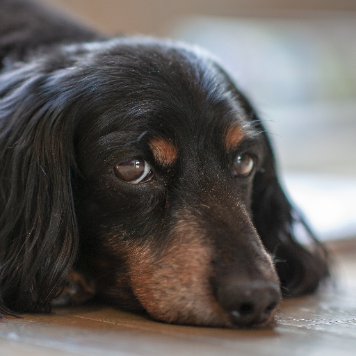 FJMcNamaraIII's profile picture. 