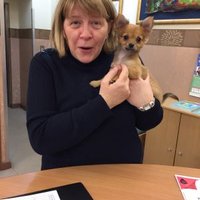 Michelle McGuigan (@michell46580438) 's Twitter Profile