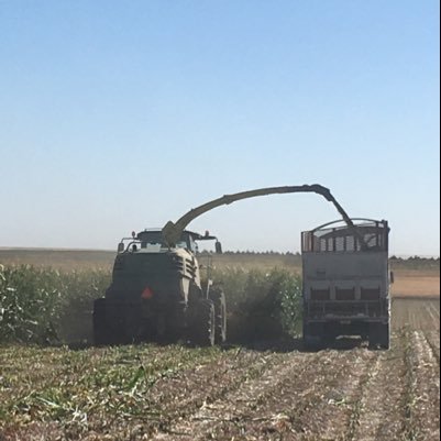 A little too diversified! Agriculture and oilfield!