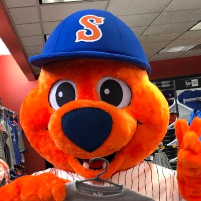 The official Mascot of the @Syracusemets