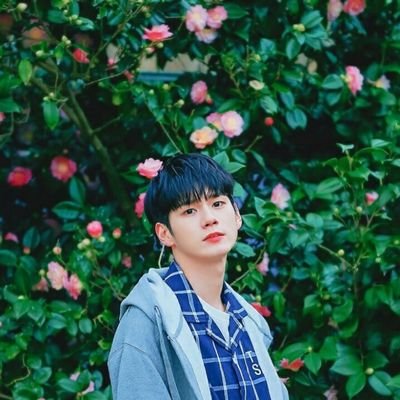 SOSAM49062031's profile picture. 