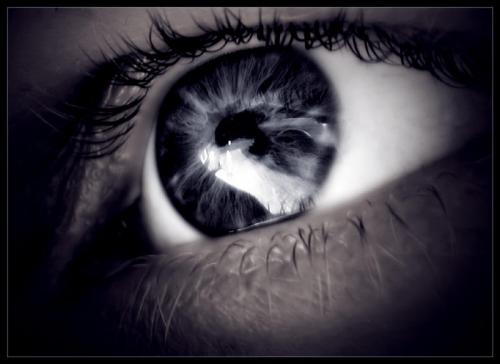 Bentleyvst's profile picture. Bentley Opticiens in Voorschoten. Geopend di-vr van 09.00 - 18.00 za van 09.00 - 17.00. Tel 071-561 21 20 Medewerkers: Roy van Kuik en Erik Visser