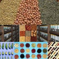 ICRISAT Genebank (@genebankicrisat) 's Twitter Profile