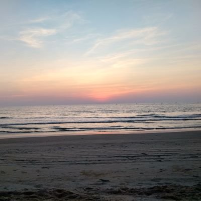 thejunebug's profile picture. Journalist & other misc. 
I 'x' about the perception of life in India in the info-age Holocene. 
RTs are FYIs. 

Views of society, obv.