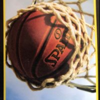 The Hoopster (@hoopsterthe) 's Twitter Profile