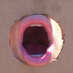 GloryHoleSucker (@glorysucker) Twitter profile photo GloryHoleSucker (@glorysucker) Twitter profile photo