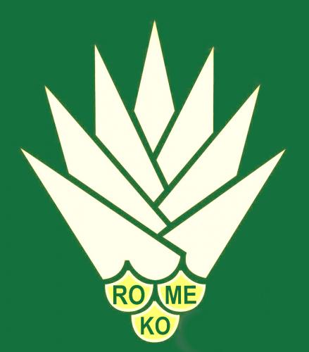 romekohdlv's profile picture. 