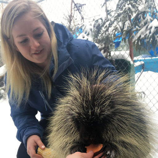 A masters student at the University of Manitoba looking at the effects of temperature and waste water effluent on soft-shelled clams in the Canadian Arctic