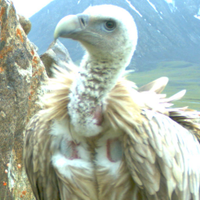 Shannon Kachel (@sm_kachel) 's Twitter Profile Photo Shannon Kachel (@sm_kachel) 's Twitter Profile Photo