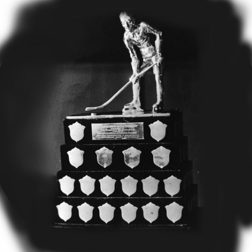Celebrating Newfoundland & Labrador’s hockey heritage. Organized hockey began after a “scrap game” on Quidi Vidi Lake in early Feb 1896. Author: @dougwheelerNL