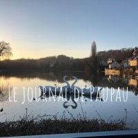 le journal de Paupau (@journalpaupau) 's Twitter Profile
