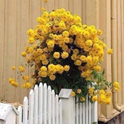 aafnan19991's profile picture. قلب على الله اتّكل ، مُحال أن يُهزم🤍