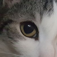 Maxi M. (@maximusterman1) 's Twitter Profile Photo