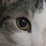 MaxiMusterman1's profile picture. Immer auf der Suche nach tollen Motiven 📸