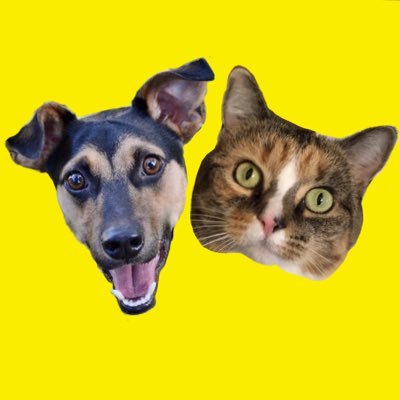 MegplusDuffy's profile picture. 