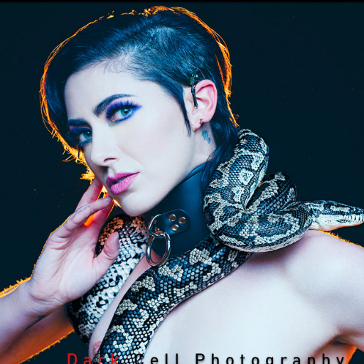 Writer/director/actor. High Priestess of the Low Brow. She/Her. Queer. Reptile enthusiast. Sideshow darling w/ #CaravanOfCuriosities.