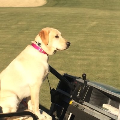 Director of Golf Maintenance at Independence Golf Cub
