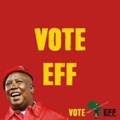 malema quotes