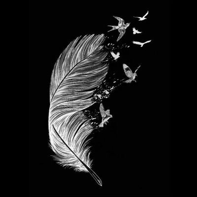 sjtarcy's profile picture. 