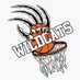 Texas Wildcats (@WildcatsTX) Twitter profile photo