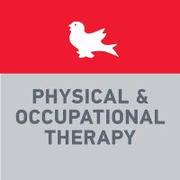 McGill Physical & Occupational Therapy(@McGillRehab) 's Twitter Profile Photo