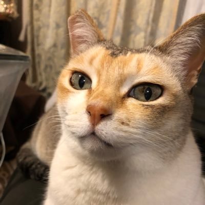 もう一度、もう一歩      歩みを止めるな
