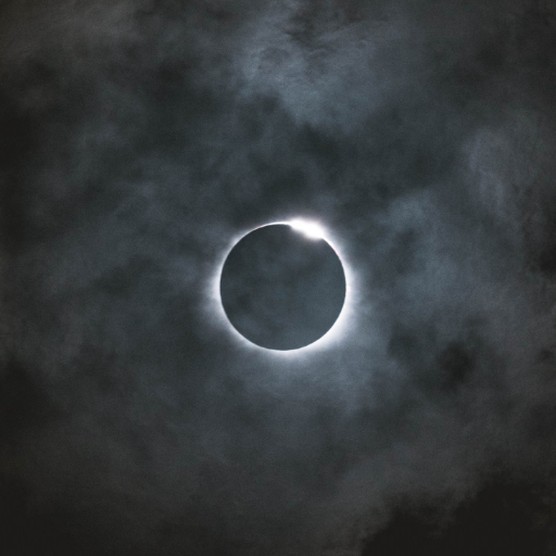 zayden15034850's profile picture. 🔥let bygones be bygones🔥