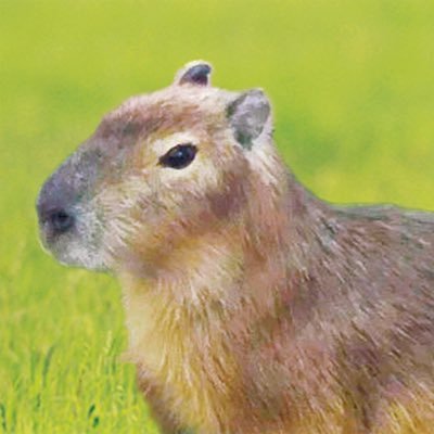 hanadahanataro's profile picture. 関西在住のクラシック音楽ファンです。趣味はメシテロです。