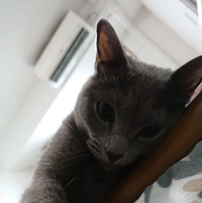 shimamu57499317's profile picture. 