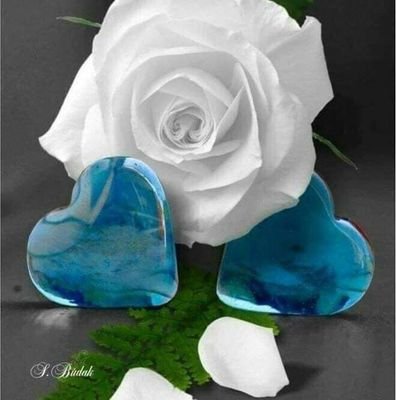 MMBilal10's profile picture. 