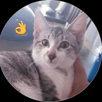 💫사랑해💕 (@vhielez4) 's Twitter Profile