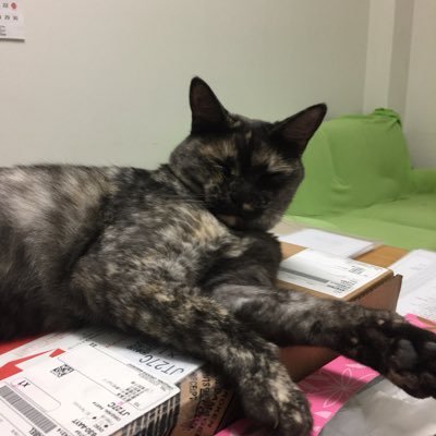 桜梅桃李 師匠と共に 婦人部です 猫が好きです🐱 犬🐶も好きですけど😊 写真は友達の甘えん坊サビ猫ちゃん。エロ系、出会い系お断り