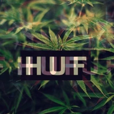 harly14452310's profile picture. 